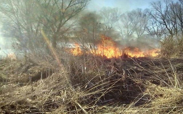 На Київщині знову горів трав’яний настил На Київщині знову горів трав’яний настил