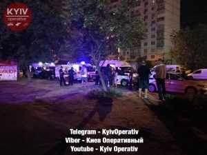 В Киеве на проспекте Сталинграда произошла массовая драка. Фото