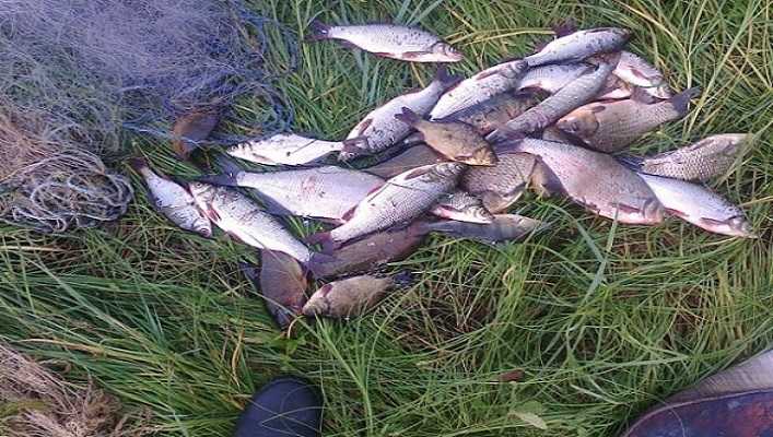 Браконьер наловил рыбы на сумму около 50 тыс. грн