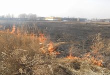 Лише за останню добу рятувальники здійснили 16 виїздів на гасіння трав’яного настилу