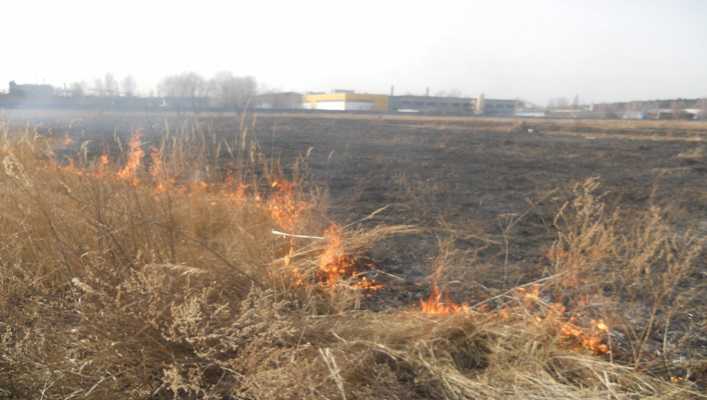 Лише за останню добу рятувальники здійснили 16 виїздів на гасіння трав’яного настилу