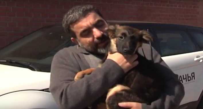 По Киеву ездят несколько автомобилей с маркировкой Бесплатная собачья помощь. Видео