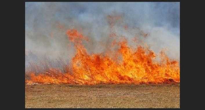 Спалювання минулорічної сухої трави призводить до торф'яних пожеж та руйнує екосистему