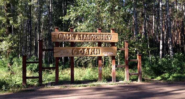 Местные жители жалуются на вырубку деревьев в парке Совки