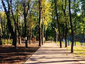 У Сирецькому парку скоро з’являться місця бігу, фітнесу, йоги та воркауту