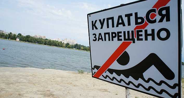 В Киеве в воде пяти водоемов обнаружена лактозоположительная кишечная палочка