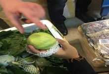 В аэропорту Борисполь обнаружили незадекларированные тайские фрукты на сумму более 100 тыс. гривен