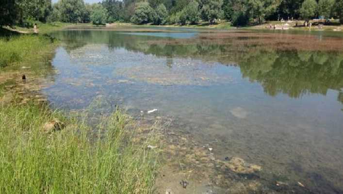 На Виноградарі озеро потерпає від сміття та водоростей