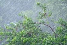 У Києві 2 липня очікуються посилення вітру