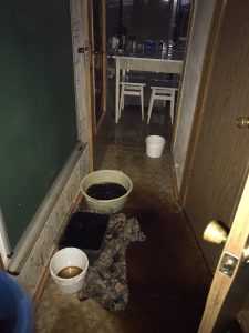 В Броварах жителей дома заливает дождевой водой