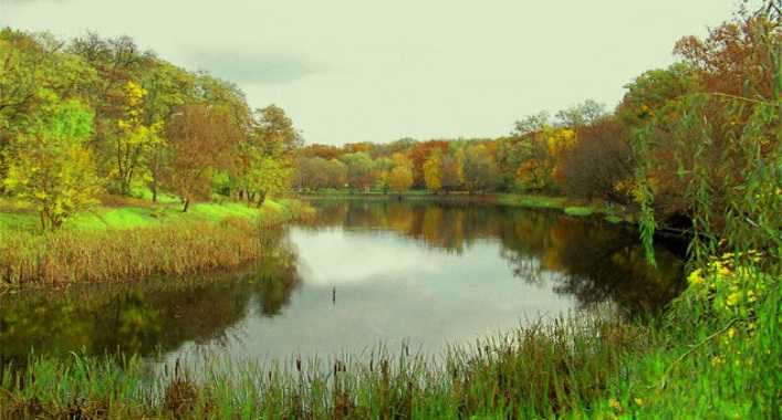 Жители Нивок просят внести изменения в проект благоустройства озер в одноименном парке