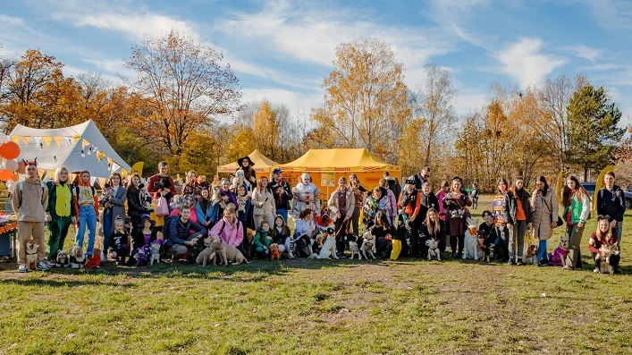 Фестиваль для собак. Holy Sweets Dog Festival - Halloween edition