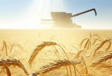Запчастини для сільськогосподарської техніки